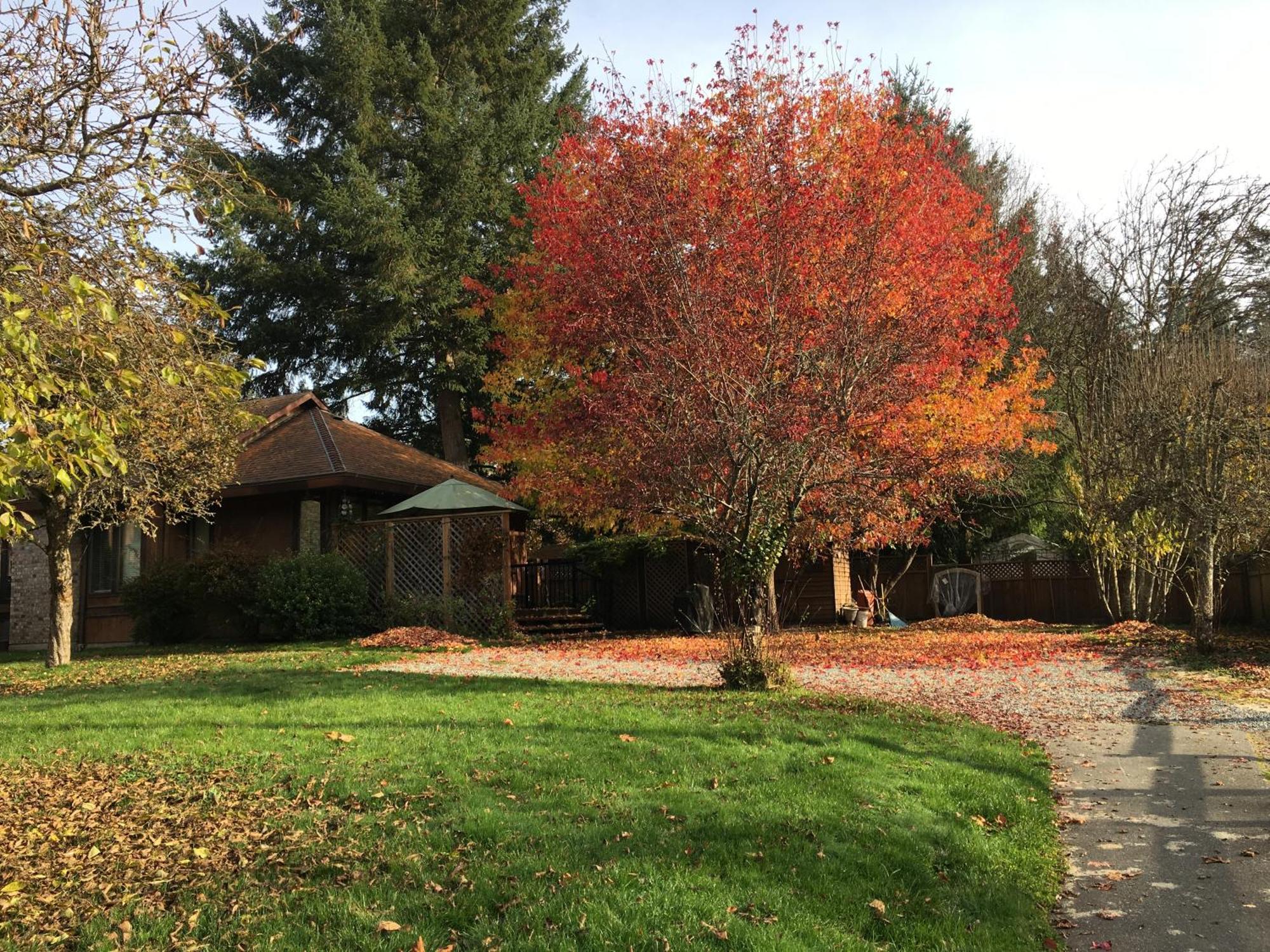 Coles Bay Vacation Retreat Villa North Saanich Dış mekan fotoğraf