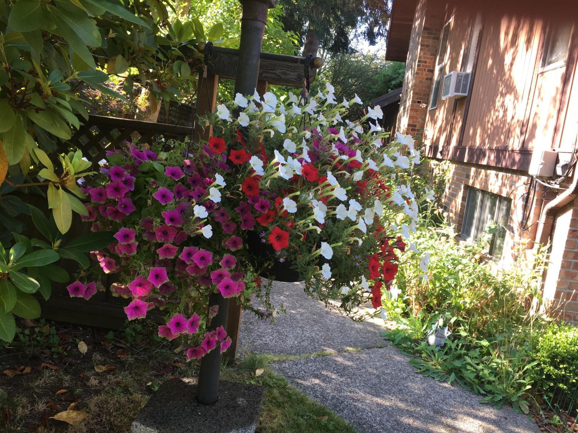Coles Bay Vacation Retreat Villa North Saanich Dış mekan fotoğraf